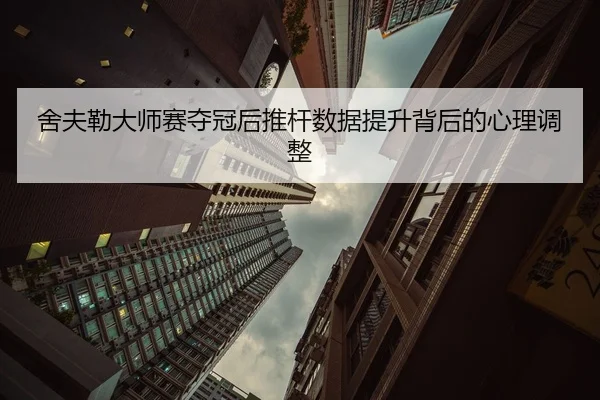 she-fu-lei-da-shi-sai-duo-guan-hou-tui-gan-shu-ju-ti-sheng-bei-hou-de-xin-li-tiao-zheng-2-114.jpg