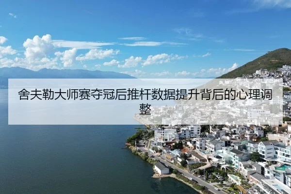 she-fu-lei-da-shi-sai-duo-guan-hou-tui-gan-shu-ju-ti-sheng-bei-hou-de-xin-li-tiao-zheng-3-314.jpg