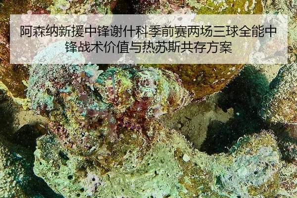 a-sen-na-xin-yuan-zhong-feng-xie-shen-ke-ji-qian-sai-liang-chang-san-qiu-quan-neng-zhong-feng-zhan-shu-jia-zhi-yu-re-su-3-553.jpg