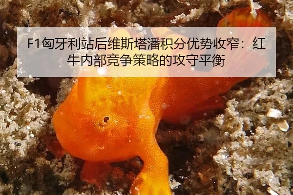 xiong-ya-li-zhan-hou-wei-si-ta-pan-ji-fen-you-shi-shou-zhai-hong-niu-nei-bu-jing-zheng-ce-lve-de-gong-shou-ping-heng-2-495.jpg